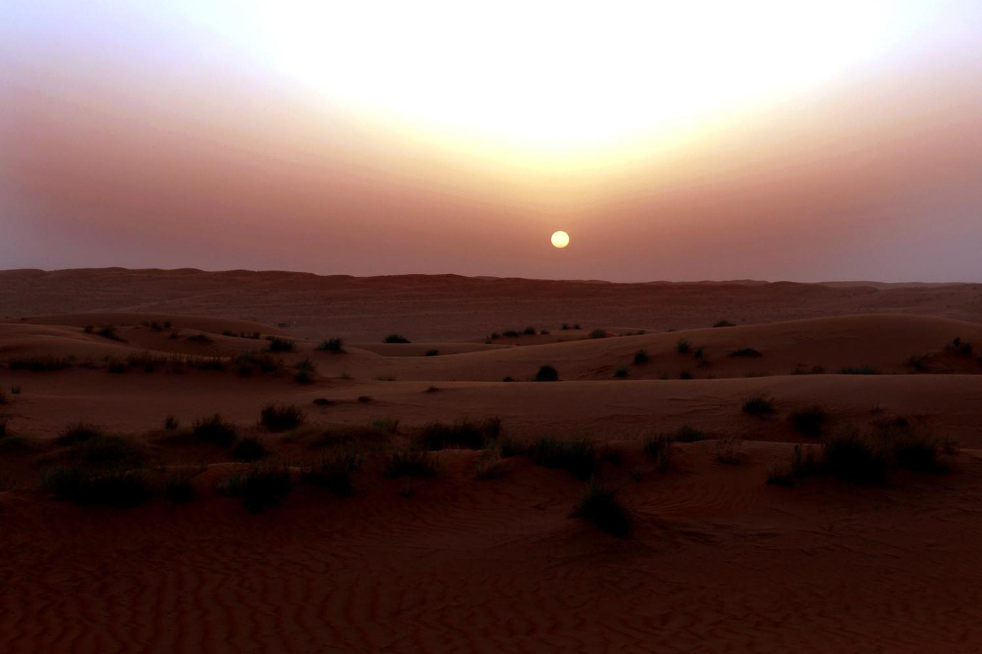 Sand Delight Camp Al Wāşil Eksteriør bilde